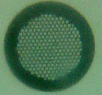 img: D:5mm Diameter 0.15mm T:0.1mm Mesh Hole