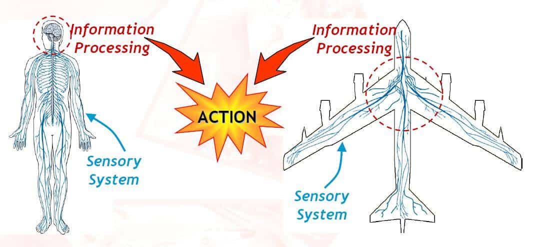 Acellentt~	Structural Health Monitoring (SHM) cdʱ Nondestructive Inspection (NDI) D}a˴