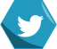 im4:twitter logo